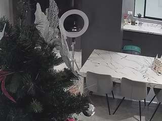voyeurcam-casa-salsa-kitchen