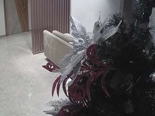 voyeurcam-casa-salsa-kitchen webcam