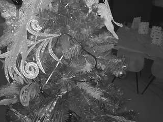 voyeurcam-casa-salsa-kitchen