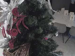 voyeurcam-casa-salsa-kitchen