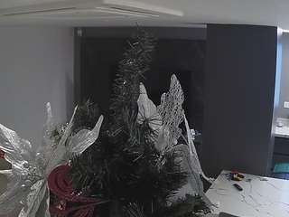 voyeurcam-casa-salsa-kitchen