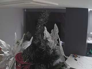 voyeurcam-casa-salsa-kitchen