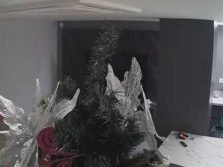 voyeurcam-casa-salsa-kitchen