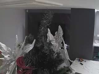 voyeurcam-casa-salsa-kitchen