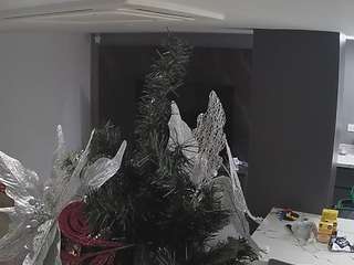 voyeurcam-casa-salsa-kitchen