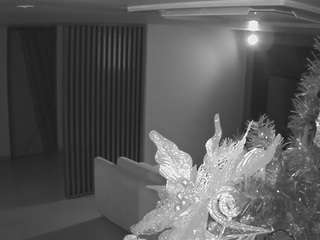 voyeurcam-casa-salsa-kitchen