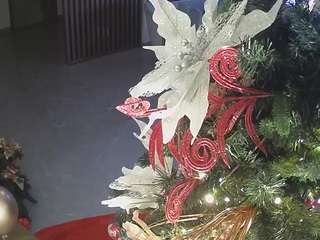 voyeurcam-casa-salsa-kitchen Pov live webcam