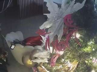 voyeurcam-casa-salsa-kitchen Flashing live webcam