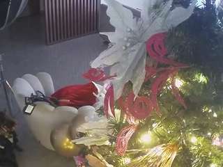 voyeurcam-casa-salsa-kitchen Hd live webcam