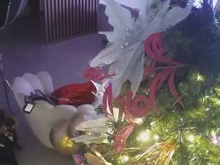 voyeurcam-casa-salsa-kitchen