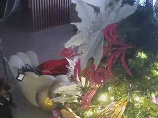 voyeurcam-casa-salsa-kitchen