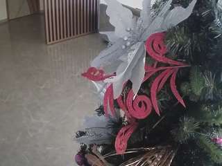 voyeurcam-casa-salsa-kitchen