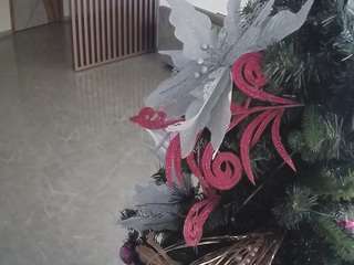 voyeurcam-casa-salsa-kitchen