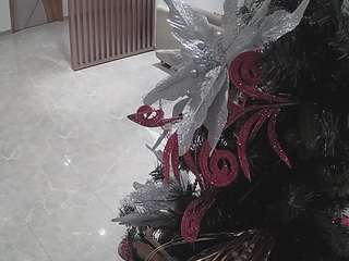 voyeurcam-casa-salsa-kitchen 1 live webcam