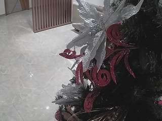 voyeurcam-casa-salsa-kitchen Teen live webcam