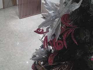 voyeurcam-casa-salsa-kitchen