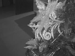 voyeurcam-casa-salsa-kitchen