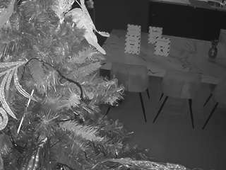 voyeurcam-casa-salsa-kitchen