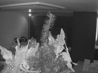 voyeurcam-casa-salsa-kitchen