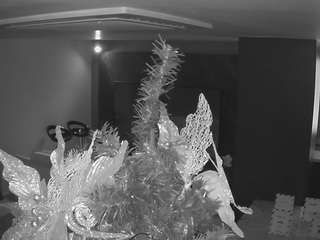 voyeurcam-casa-salsa-kitchen