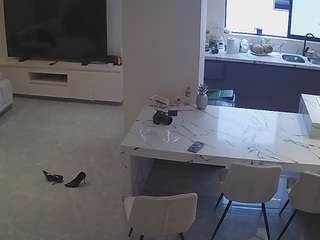 voyeurcam-casa-salsa-kitchen