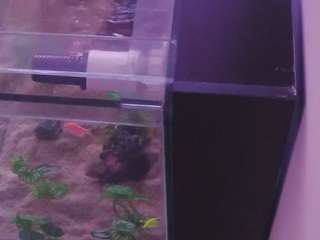 voyeurcam-casa-salsa-kitchen