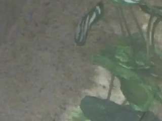 voyeurcam-casa-salsa-kitchen live cam profile