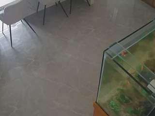 voyeurcam-casa-salsa-kitchen