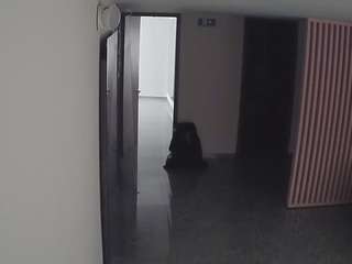 voyeurcam-casa-salsa-kitchen