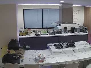 voyeurcam-casa-salsa-kitchen