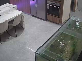 voyeurcam-casa-salsa-kitchen