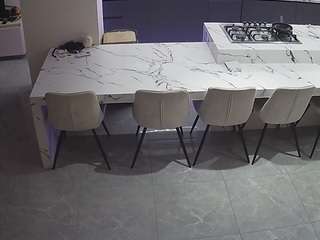 voyeurcam-casa-salsa-kitchen