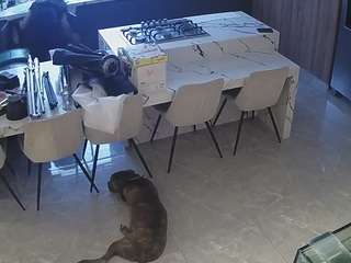 voyeurcam-casa-salsa-kitchen