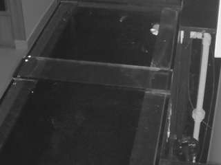 voyeurcam-casa-salsa-kitchen