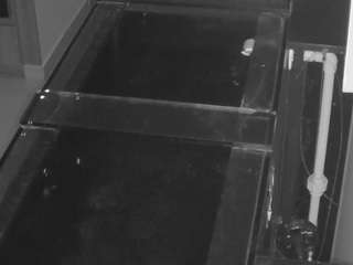 Casa Salsa Kitchen live cam preview