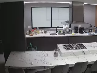Casa Salsa Kitchen's Live Sex Cam Show