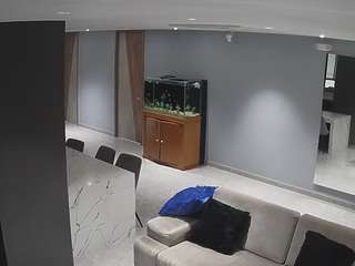 voyeurcam-casa-salsa-parlor Live Webcam on CamSoda