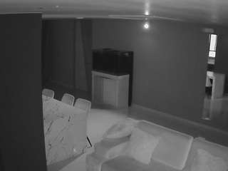 voyeurcam-casa-salsa-parlor