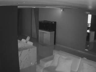voyeurcam-casa-salsa-parlor