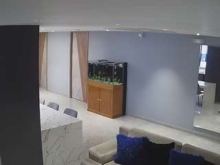 voyeurcam-casa-salsa-parlor