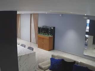 voyeurcam-casa-salsa-parlor