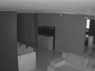 voyeurcam-casa-salsa-parlor