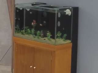 voyeurcam-casa-salsa-parlor