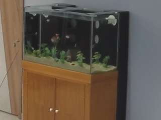 voyeurcam-casa-salsa-parlor