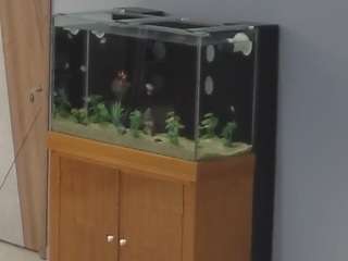 voyeurcam-casa-s... Live Webcam on CamSoda