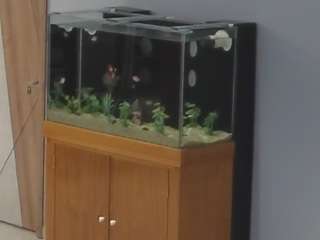 voyeurcam-casa-s... Live Webcam on CamSoda