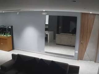 voyeurcam-casa-salsa-parlor