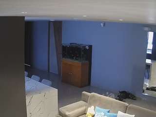 voyeurcam-casa-salsa-parlor