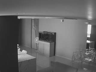 voyeurcam-casa-s... Live Webcam on CamSoda