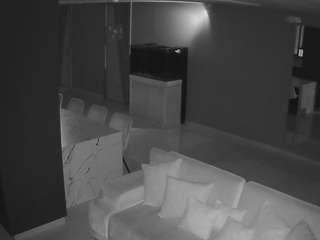voyeurcam-casa-salsa-parlor